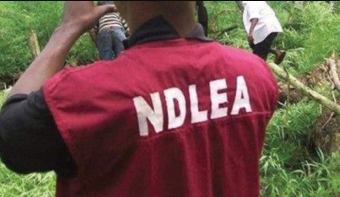 75-Year-Old Man Drags NDLEA Chairman To Court