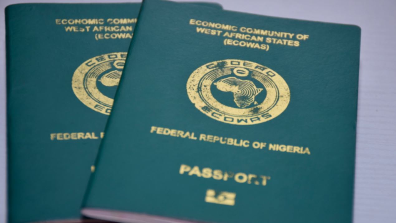 International passport