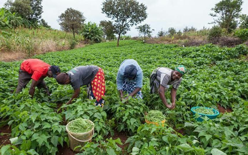 Farmers register